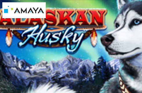 Alaskan Husky